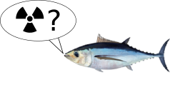 Are
fish radioactive?
